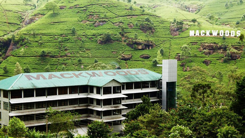 Max Mount View Nuwara Eliya Exterior foto